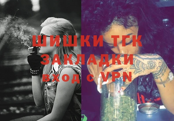 тгк Алексин