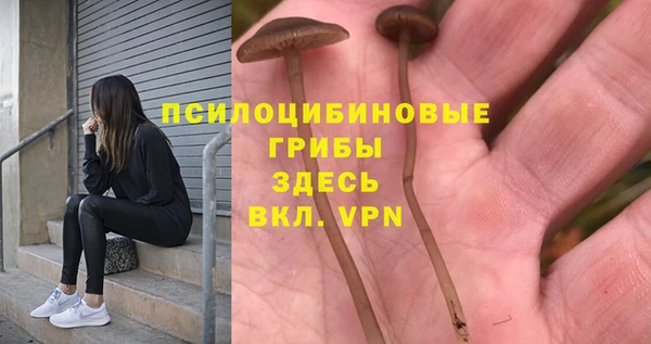 амф Алексеевка