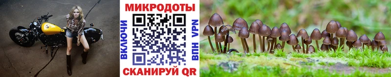 Псилоцибиновые грибы мухоморы  kraken рабочий сайт  Нелидово 